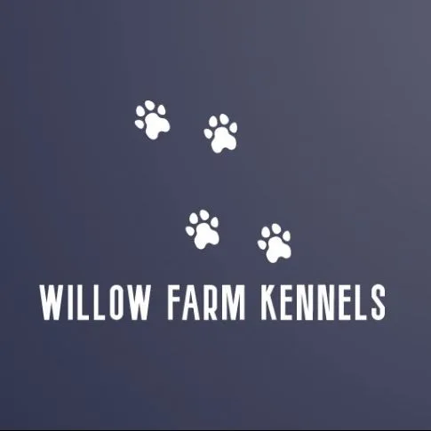 Willow Farm Kennels - Wexford pet otel görseli 2