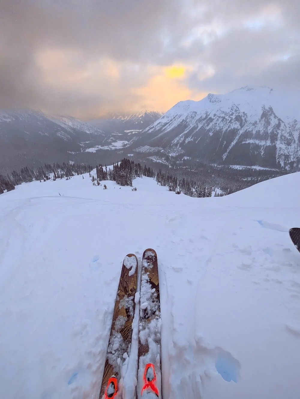 Backcountry Snowcats - Whistler pet otel