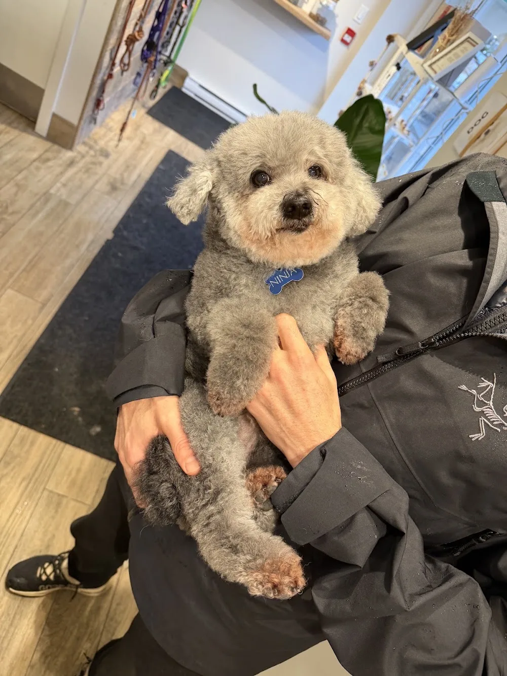 Whistler Paws Grooming, Daycare & Boutique - Whistler pet otel