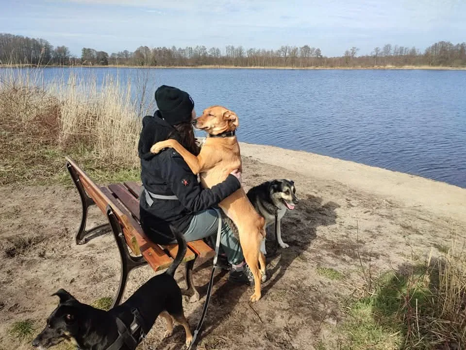Maggy's Hundeparadies Tierbetreuung - Wickede (Ruhr) pet otel