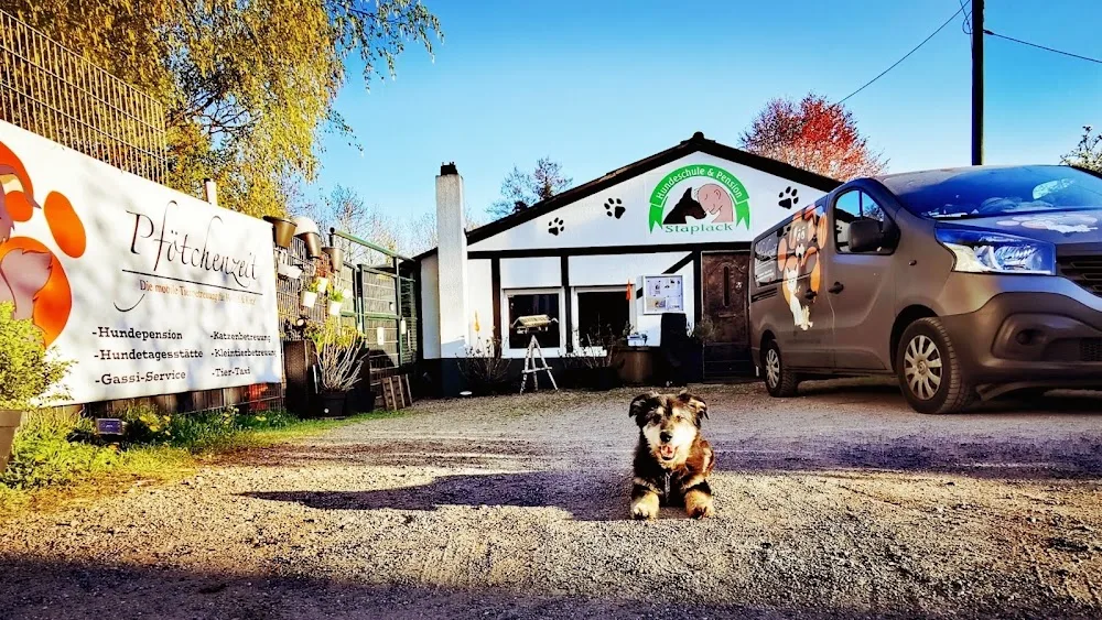 Pfötchenzeit - die Tierbetreuung - Wickede (Ruhr) pet otel görseli 2
