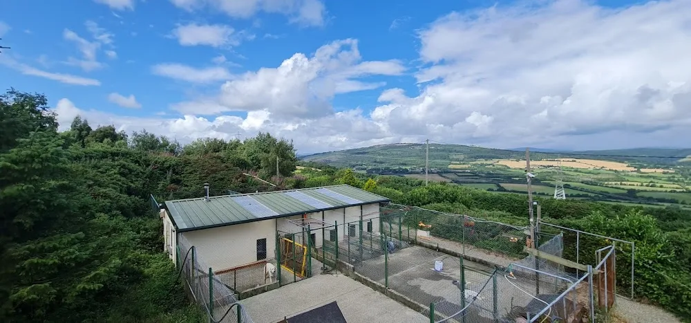 Kings Kennels - Wicklow pet otel