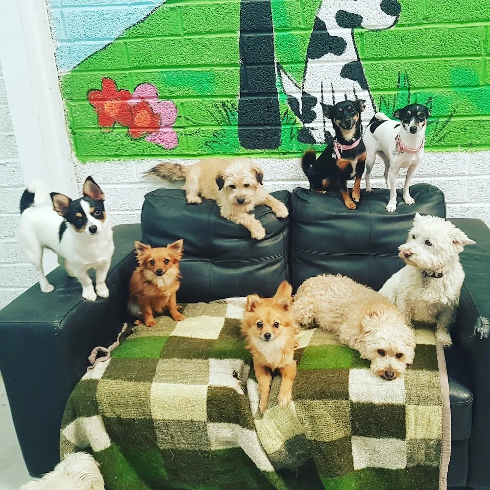 The Doggie Lodge - Wicklow pet otel