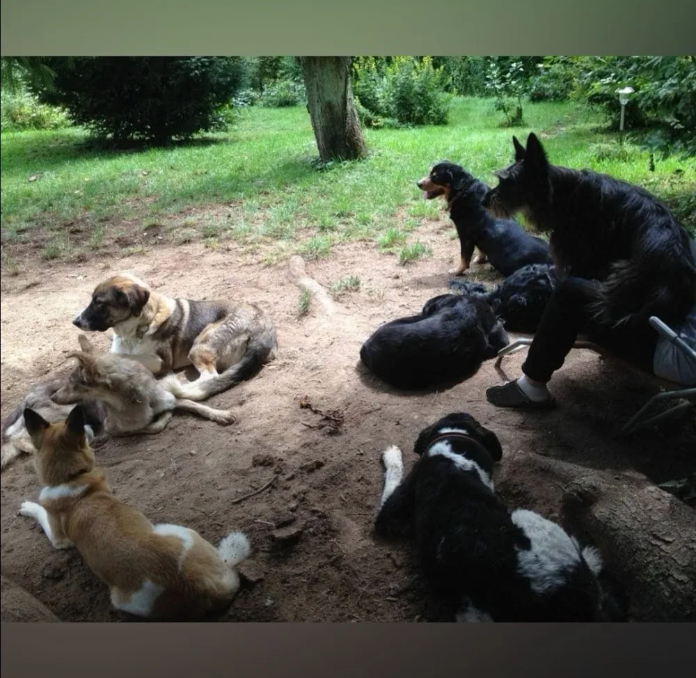 Mel´s Corner Dogkeeping - Wiesbaden pet otel