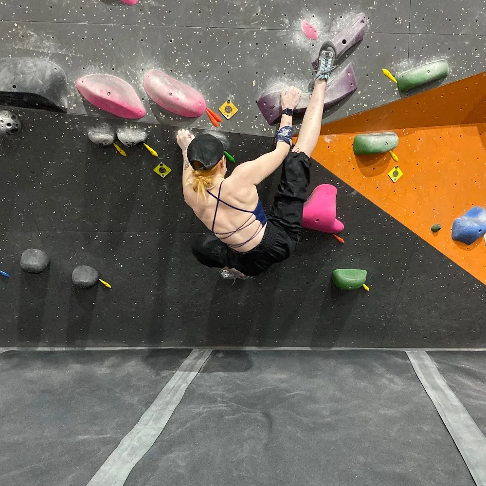 Central Bark Inc - Winnipeg pet otel görseli 5