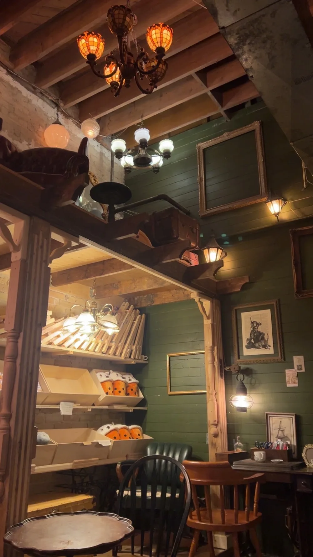 Cleocatra Café - Cat Cafe/ Osborne Village - Winnipeg pet otel görseli 3