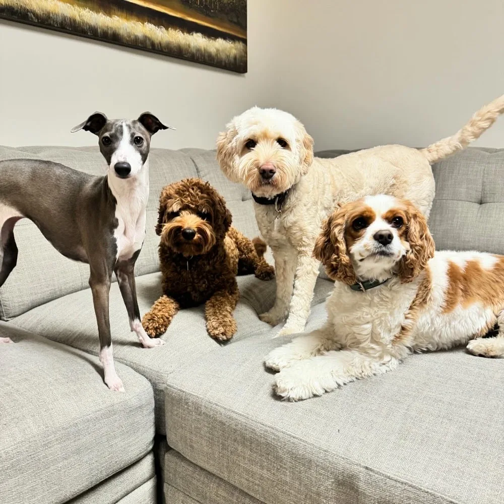 Fido & Friends Pet Care - Winnipeg pet otel