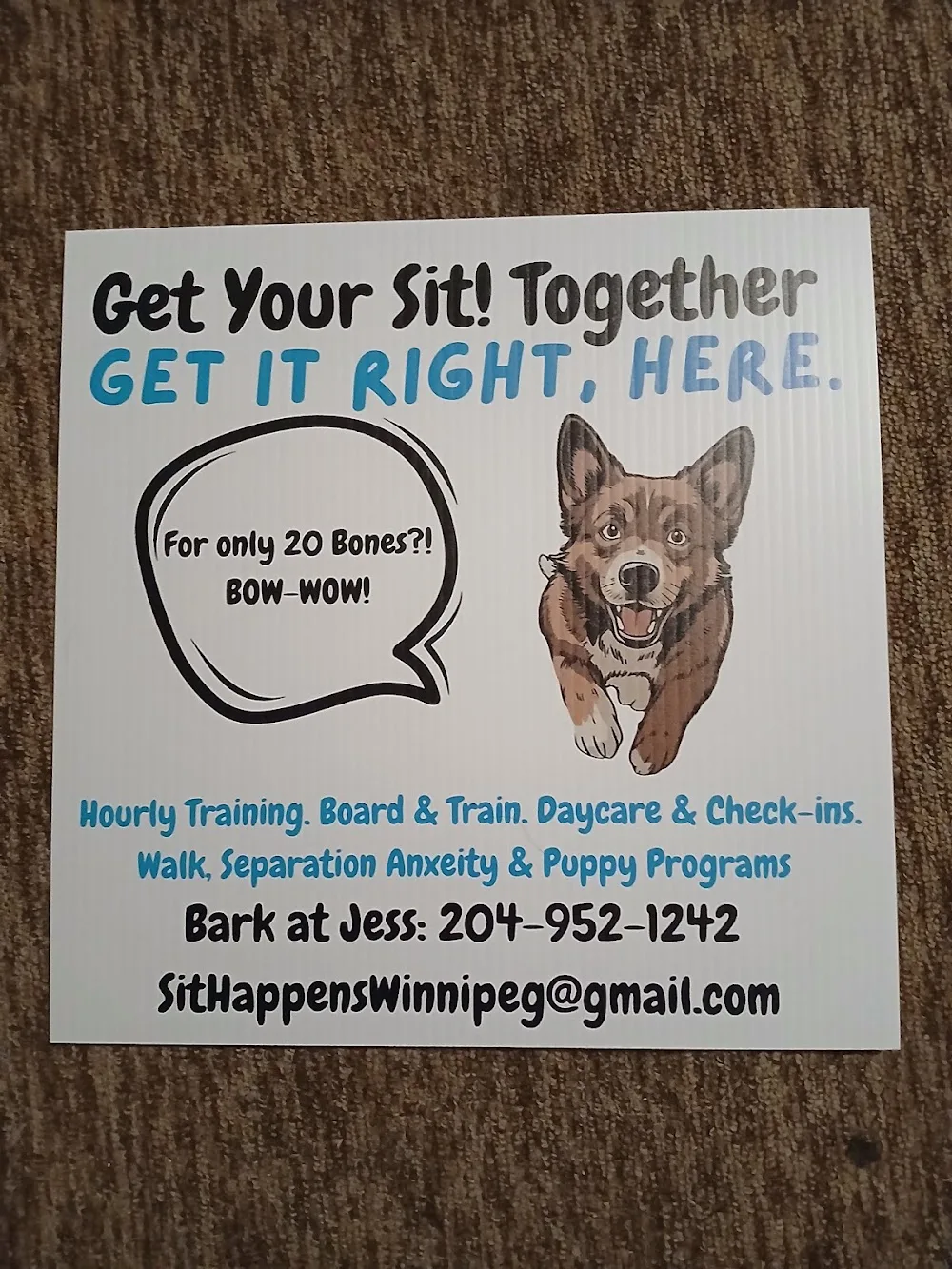 Sit! Happens - Winnipeg pet otel
