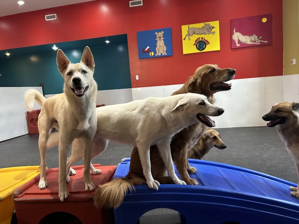 Woofs 'n Wags Dog Daycare - Winnipeg pet otel