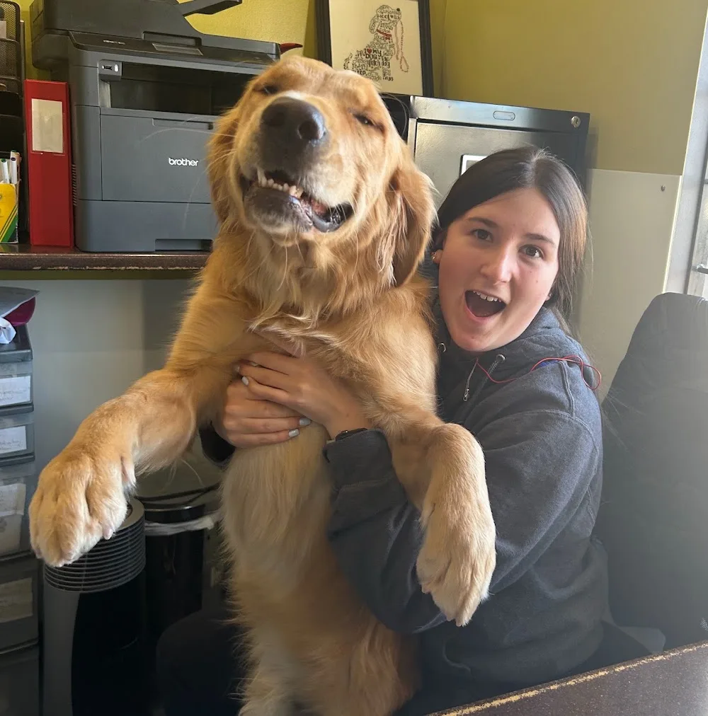 Woofs 'n Wags Dog Daycare - Winnipeg pet otel görseli 3