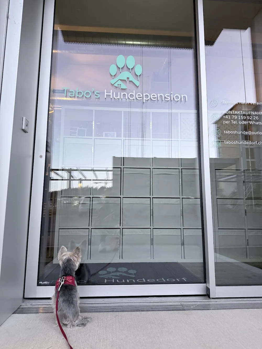 Hundeschule/Hundepension/Hundesalon Tabo’s - Winterthur pet otel