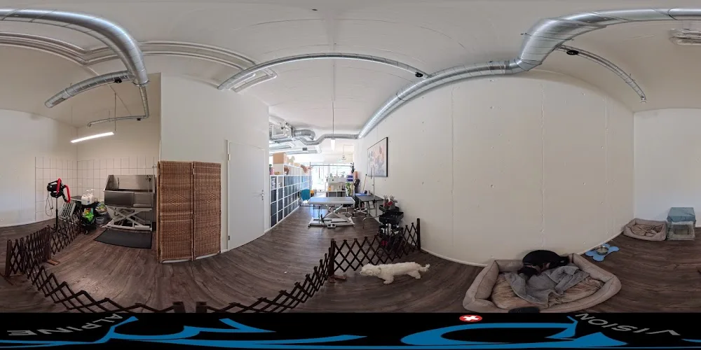 Hundeschule/Hundepension/Hundesalon Tabo’s - Winterthur pet otel görseli 3