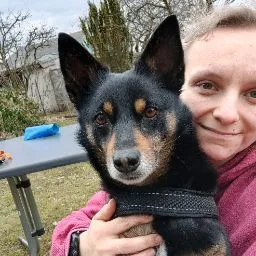 Der Hundekindergarten - Wittichenau pet otel görseli 5