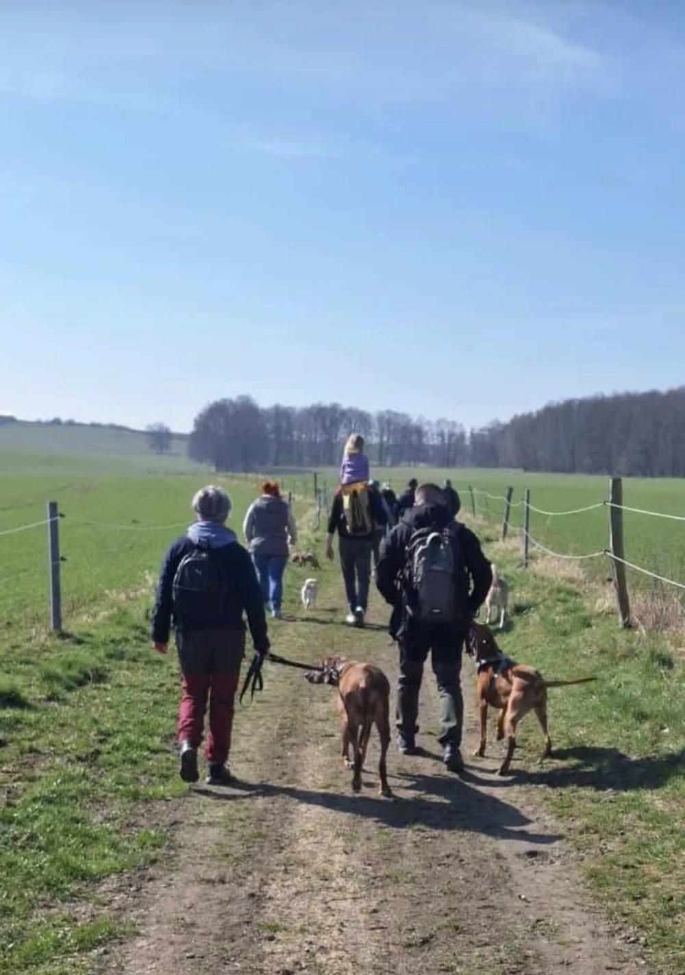 Dog-Tour, mobile Tierbetreuung, Inh. Janine Koppelt - Wittichenau pet otel görseli 3