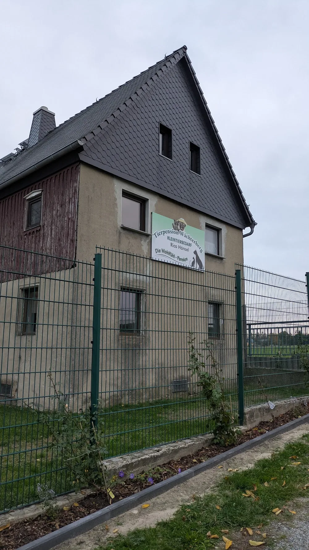 Hänsel Tierpension Deutsche Doggenzucht - Wittichenau pet otel