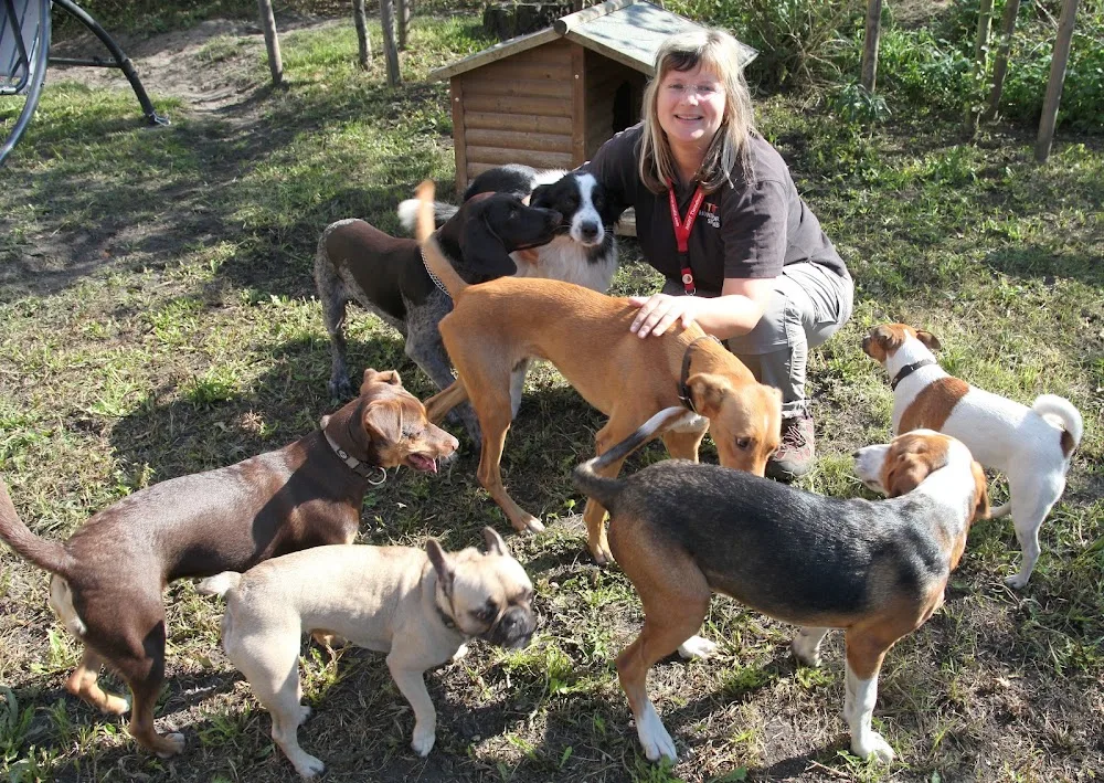 Hundehort-Spremberg - Wittichenau pet otel