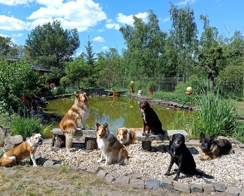 Hundepension Annett Gackowsky - Wittichenau pet otel