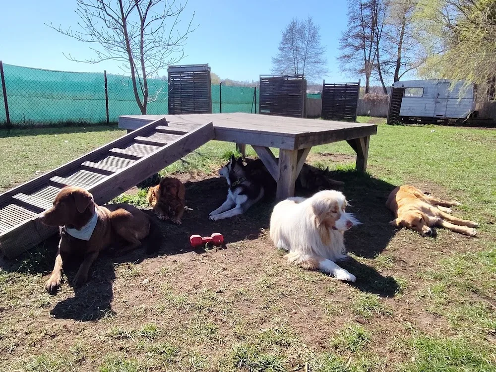 Hundepension /Kita Pudelwohl - Wittichenau pet otel