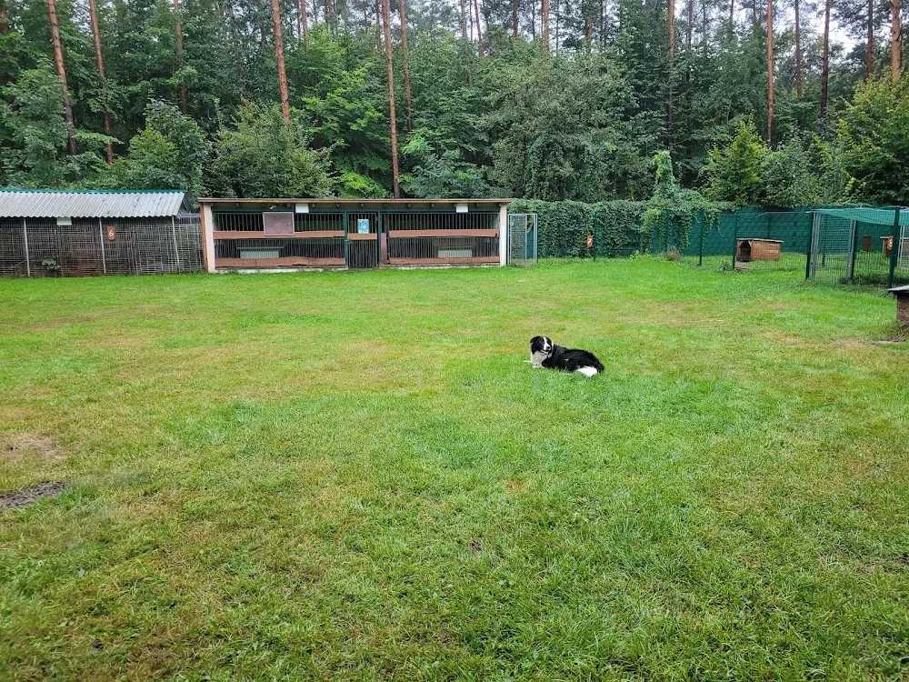 Waldhundeschule & Pension - Wittichenau pet otel görseli 3