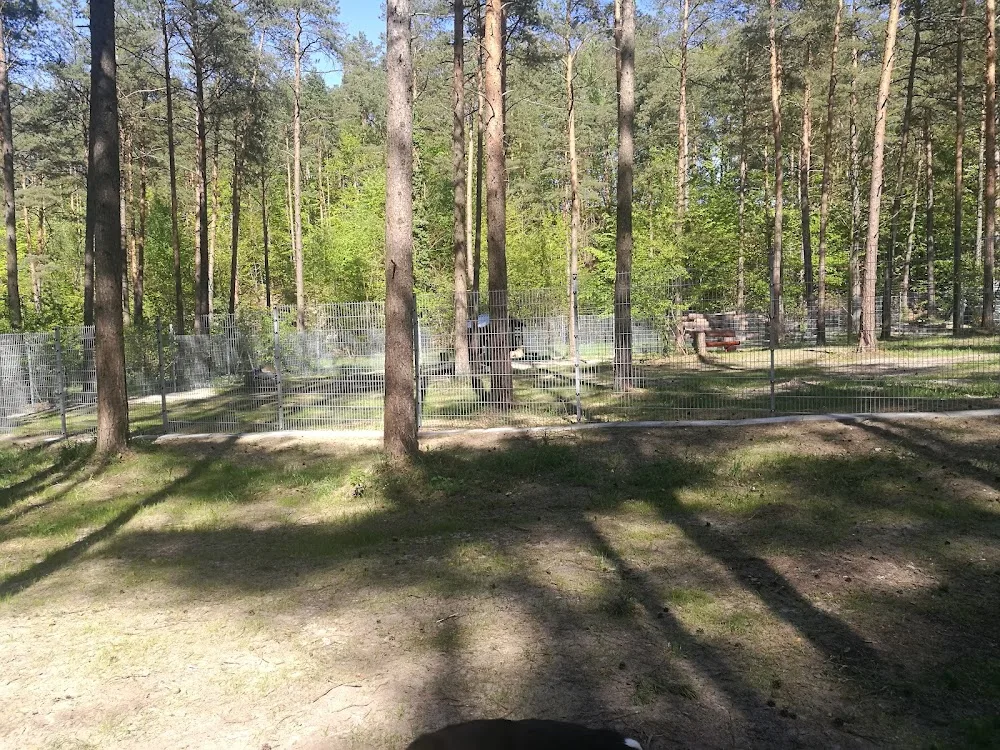 Hundepension Pfötchenresort Breetze - Witzeeze pet otel görseli 3