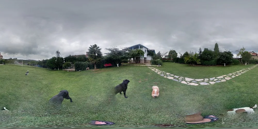 Wof Wof Dog Hotel - Şile pet otel görseli 3