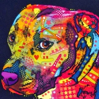 Wof Wof Dog Hotel - Şile pet otel görseli 5