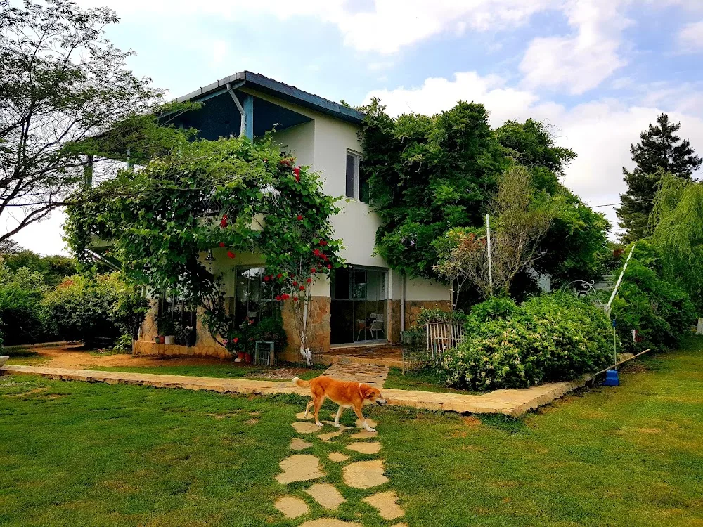 Wofwof dog hoteli - Şile pet otel