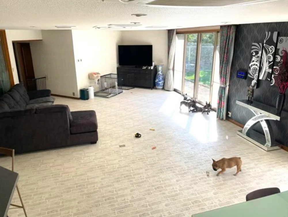 Pet hotel Later hill - Yamaguchi pet otel görseli 3