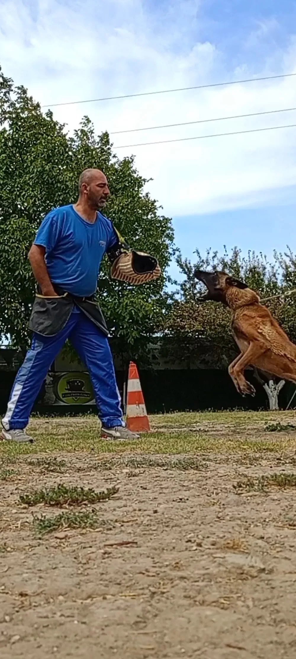 Yıldız Köpekler Kulübü Köpek Eğitimi ve Pansiyonu - Çanakkale pet otel