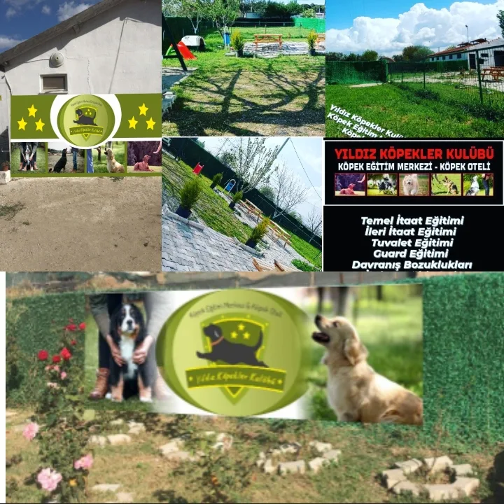 Yıldız Köpekler Kulübü Köpek Eğitimi ve Pansiyonu - Çanakkale pet otel görseli 3