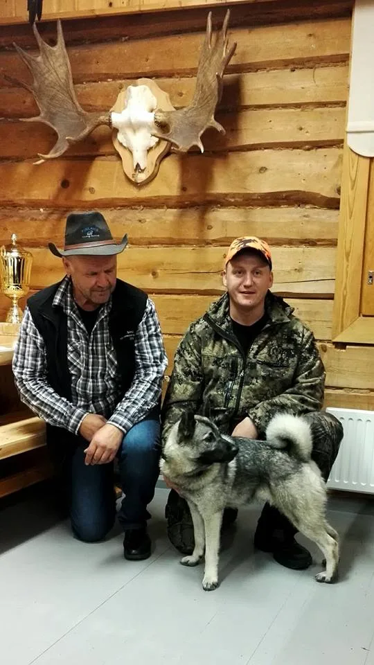Kennel Riistankauhun - Ylivieska pet otel görseli 3