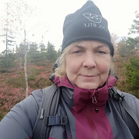 Ylivieskan Lemmikkieläinhoitola Ky - Ylivieska pet otel görseli 3