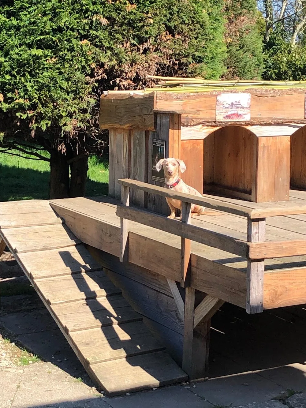Dog's Club Vacances - Yonne pet otel