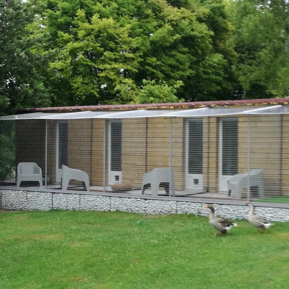 Hôtel Georges Cat - Yonne pet otel görseli 3