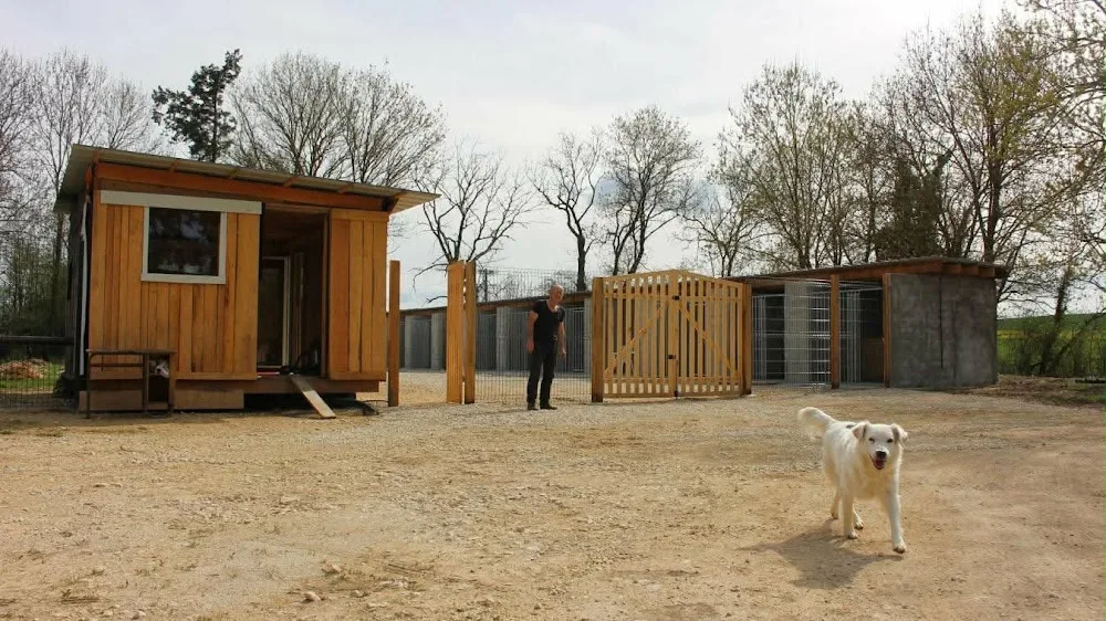 Pension Canine "Au Chien Gentil" - Yonne pet otel görseli 3