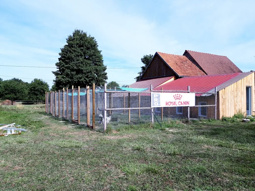 Pension canine et féline La forêt du lys - Yonne pet otel görseli 2