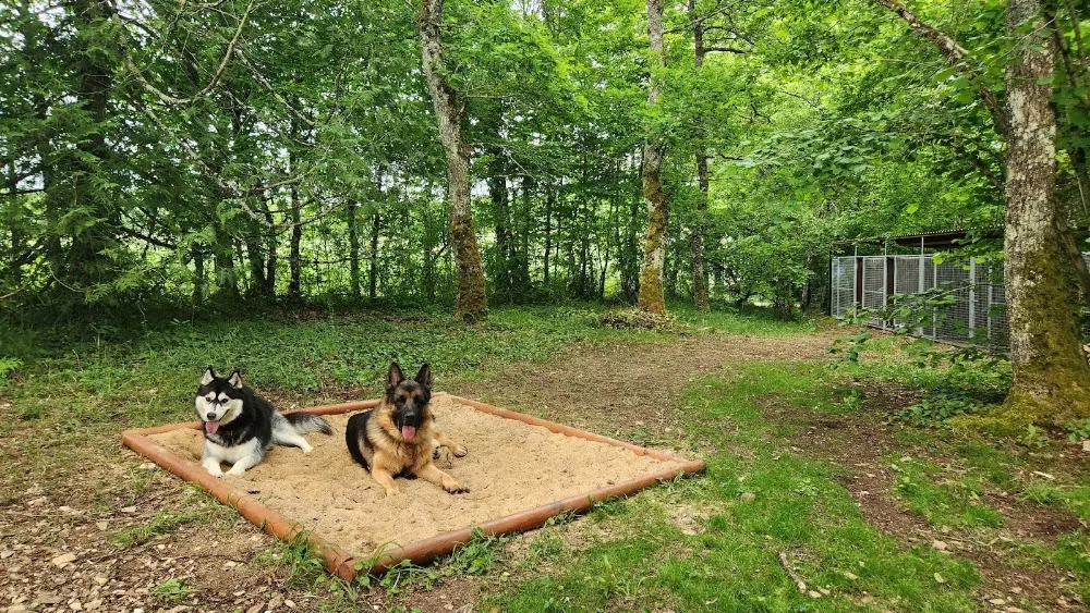 Pension pour chiens de Massangis - Yonne pet otel görseli 3