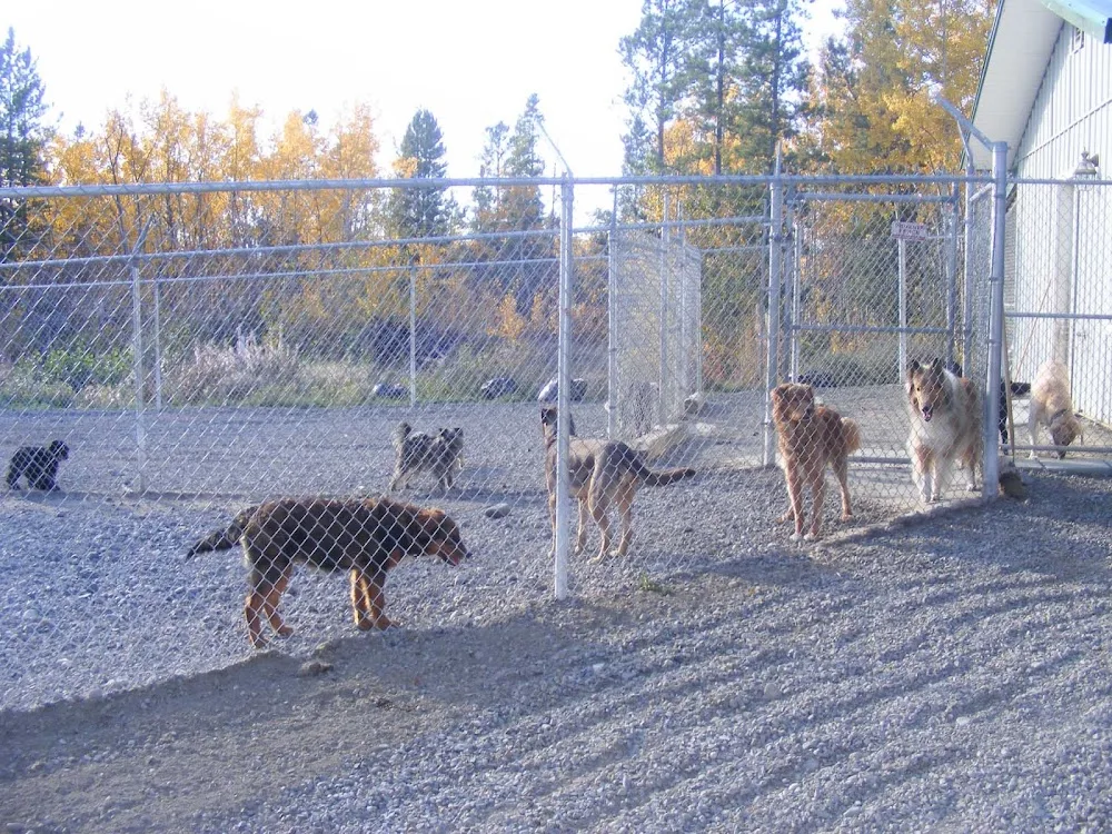 Eldorado VIP Boarding Kennels - Yukon pet otel