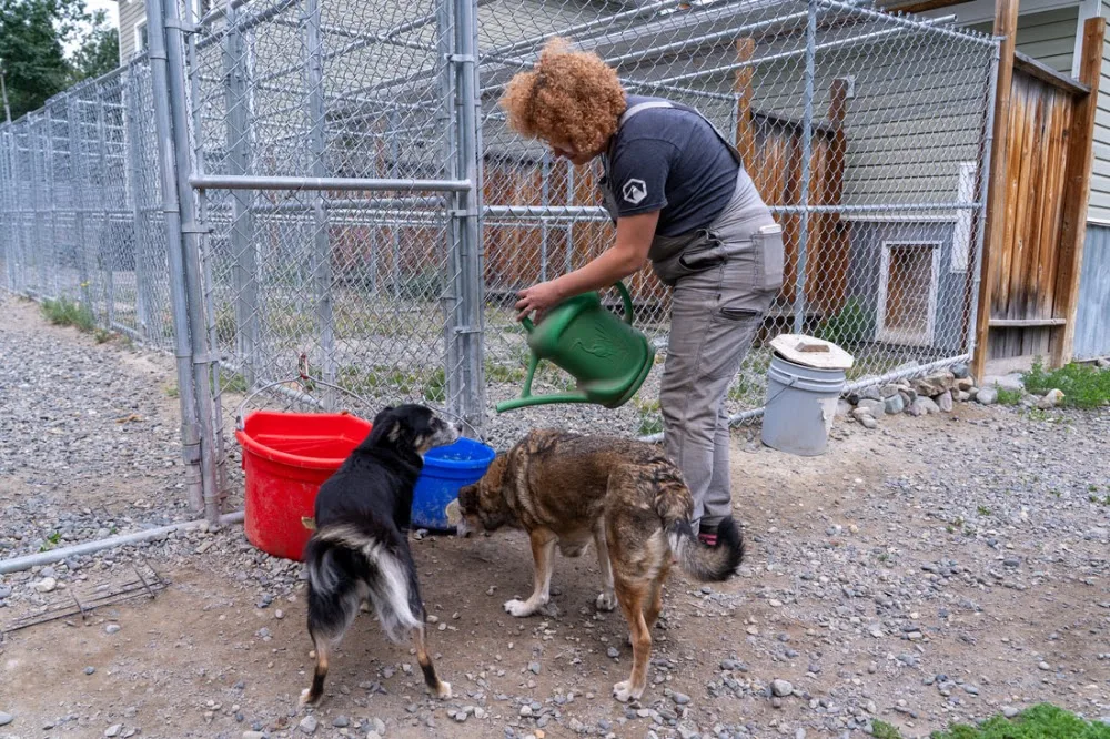 Tails and Trails Dog Hotel - Yukon pet otel görseli 3