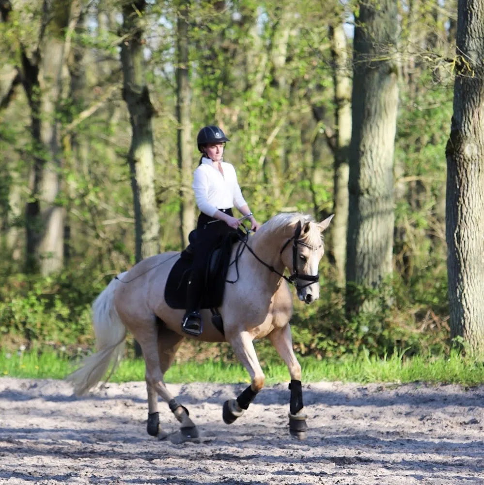 Ani'Maud - Yvelines pet otel görseli 5