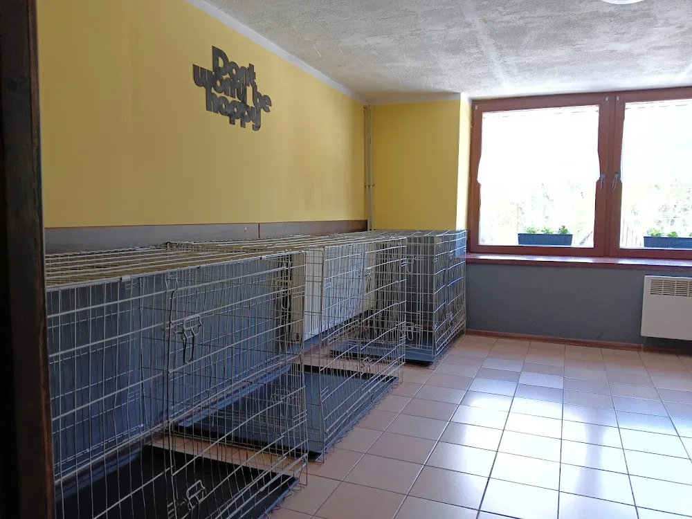 PUFIK Hotel Dla Zwierząt - Zakopane pet otel görseli 3