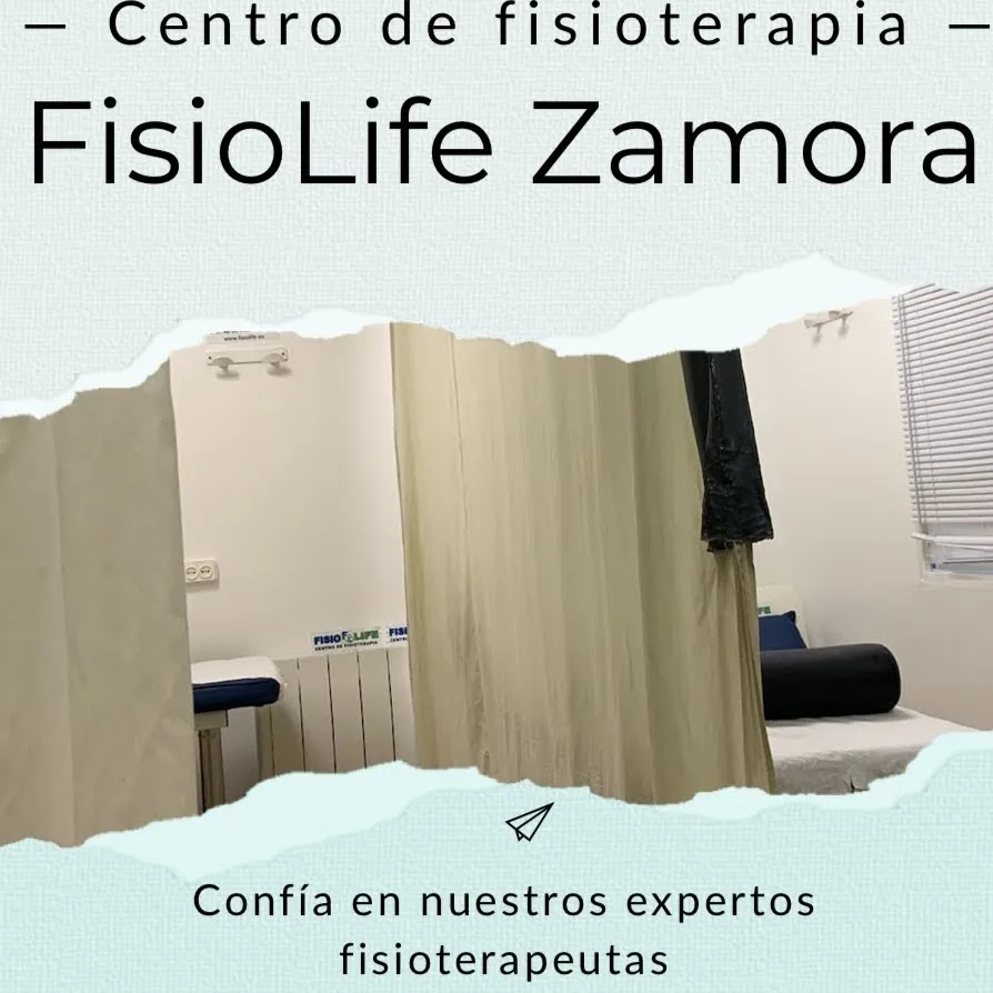 Residencia Canina Sotocampana - Zamora pet otel görseli 4