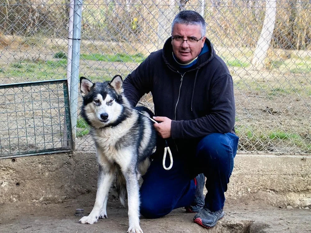Dog Garden Centro Canino - Zaragoza pet otel görseli 3