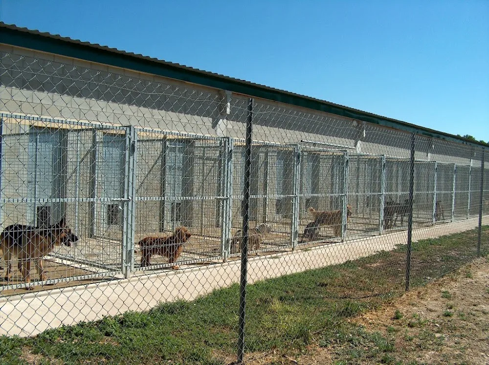 Guardería de Animales Las Jaras - Zaragoza pet otel