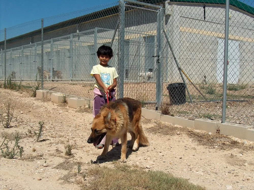 Guardería de Animales Las Jaras - Zaragoza pet otel görseli 3
