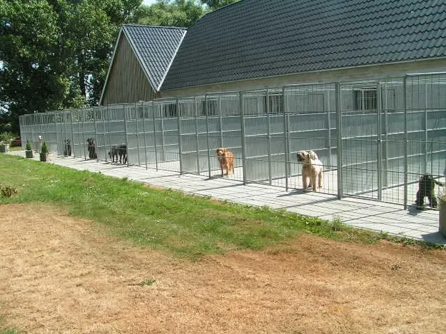 Hjortemosegaards Hundesvøm og Pension - Hundesvømmehal - Zealand pet otel