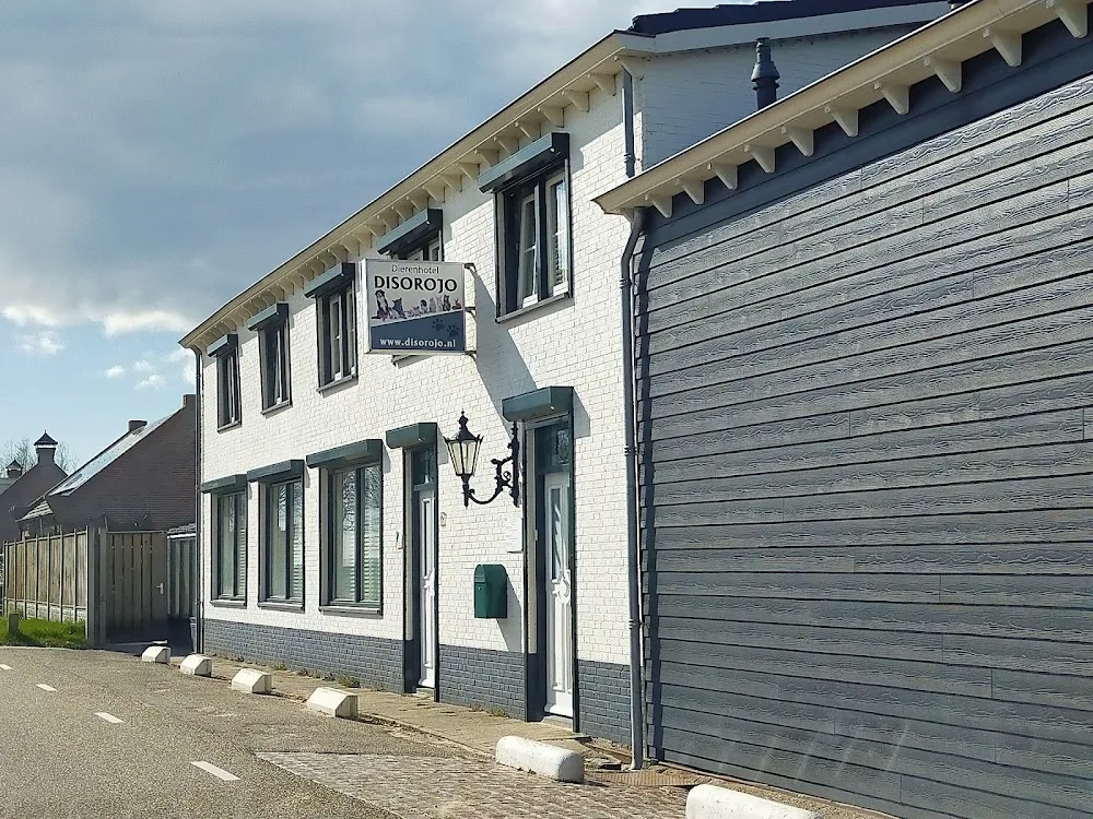 Dierenhotel Disorojo - Zeeland pet otel görseli 3