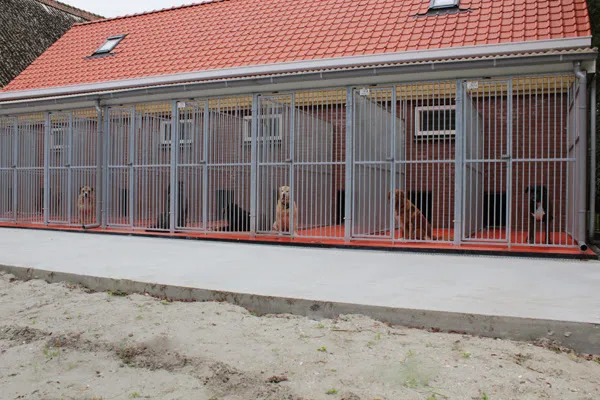 Dierenoppas Annabel. - Zeeland pet otel