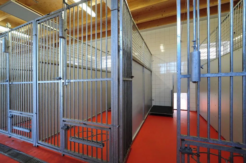 Dierenoppas Annabel. - Zeeland pet otel görseli 3