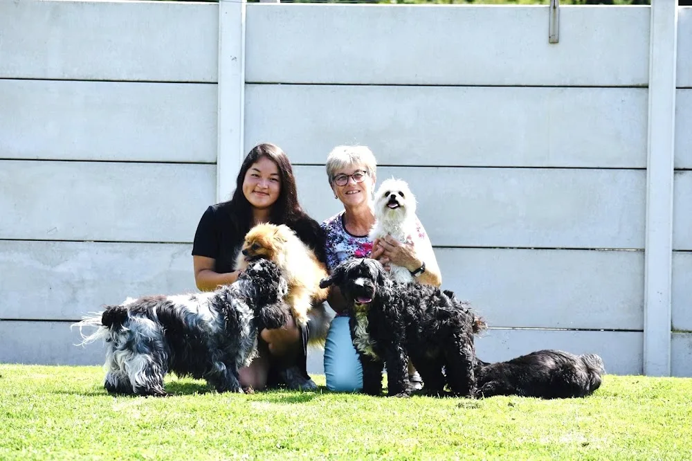Dierenpension - Trimsalon Van de Velde - Zeeland pet otel görseli 3
